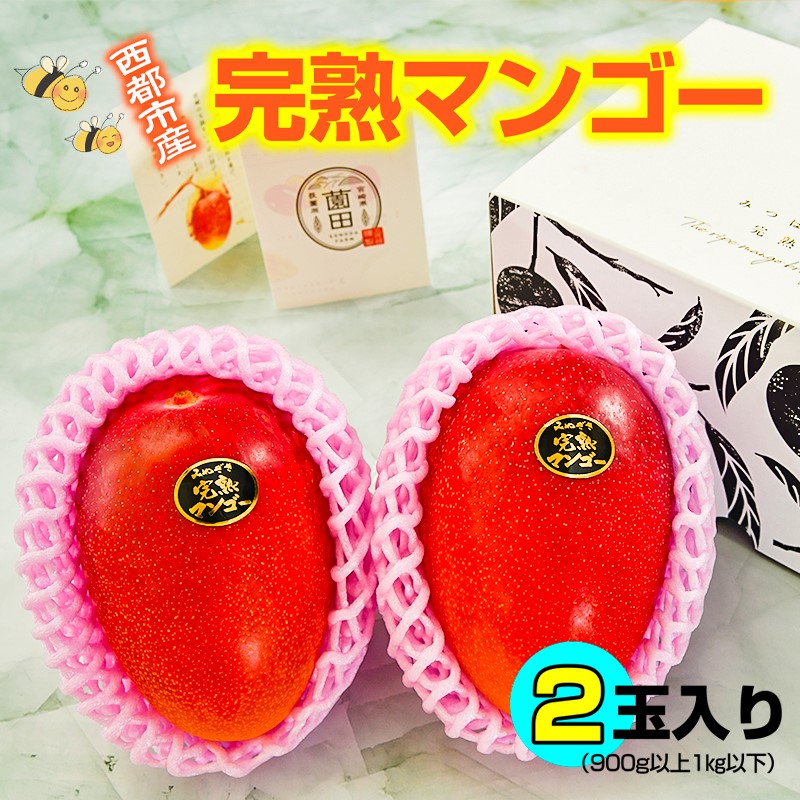 2027年発送【先行予約】薗田農園　西都市産完熟マンゴー2玉 900g～1kg＜37-1a＞