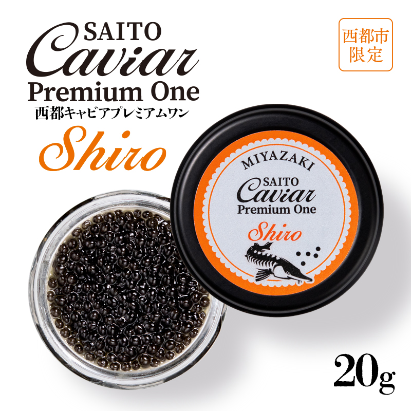 SAITO CAVIAR PREMIUM ONE SHIRO 20g キャビア 西都市オリジナル＜25-16a＞
