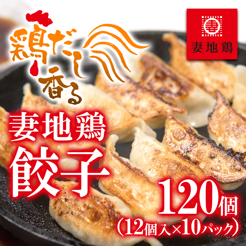 ブランド地鶏 妻地鶏 ぎょうざ詰合せ120個 小分け12個×10パック＜8-23a＞