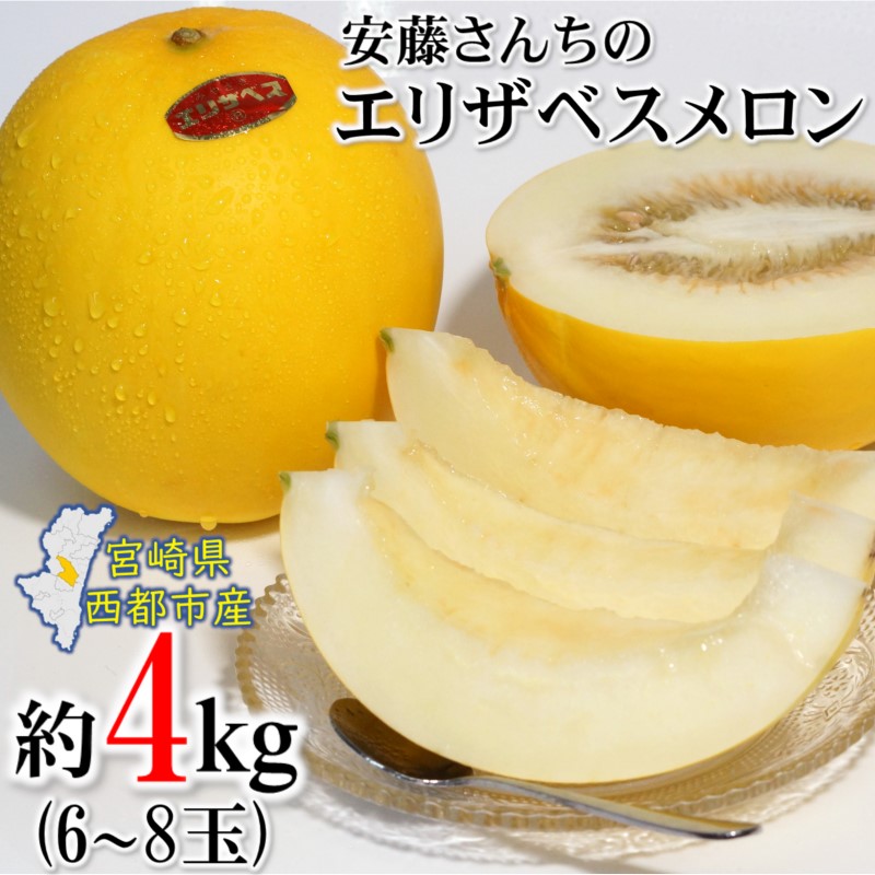 2027年発送　初夏の味覚！安藤さんちのエリザベスメロン 4kg すっきりした甘さ【先行予約】＜23-15b＞