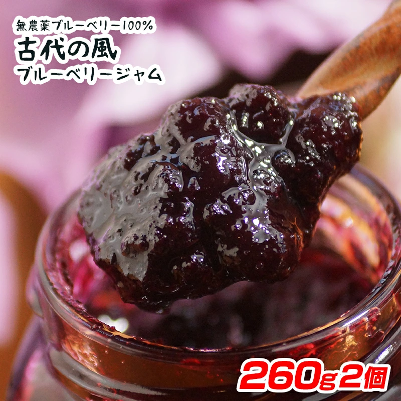 【添加物・保存料不使用】無農薬ブルーベリージャム Big  260g×2個 『古代の風』毎日の健康に！＜23-14a＞