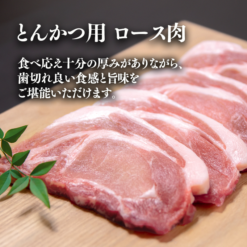宮崎県産豚肉4種セット 合計 3.7kg  焼肉 スライス とんかつ 小間切れ＜40-1a＞
