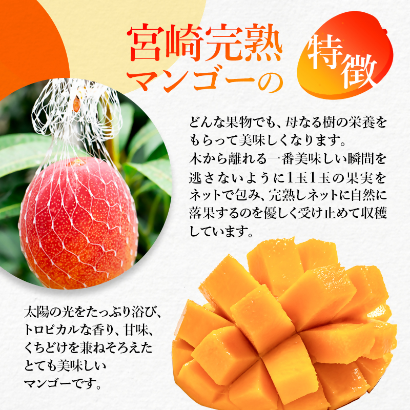 冷凍 みやざき完熟マンゴー 70g×4 宮崎県産 宮崎完熟マンゴー＜31-2a＞