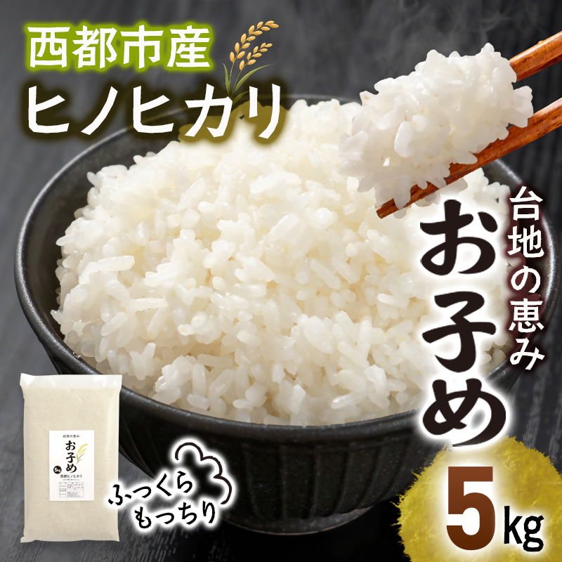 【先行受付】新米 令和8年産 ひのひかり 5kg 台地の恵み『お子め』　西都市産【※10月以降順次発送】精米済み＜59-2a＞