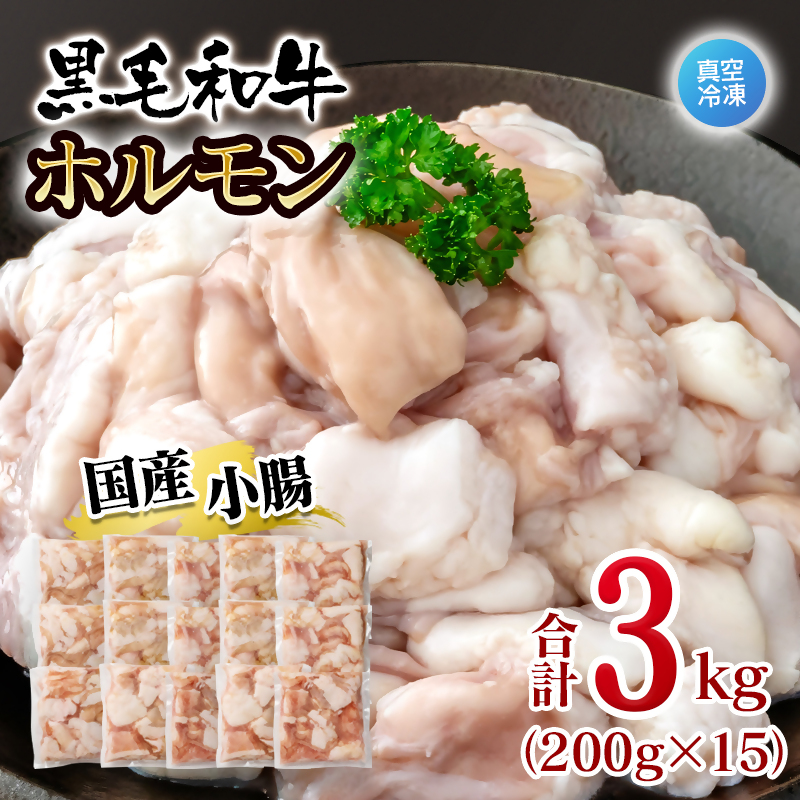 黒毛和牛ホルモン 3kg 小分け200g×15 国産牛肉 焼肉 焼き肉 もつ 小腸 真空パック＜58-70a＞