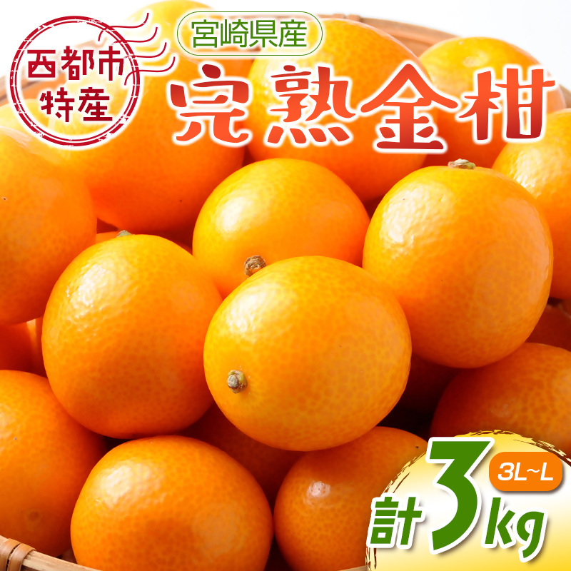 2027年発送 宮崎県西都市産完熟金柑 きんかん3kg（3L～L）西都市特産品 先行予約＜18-8a＞