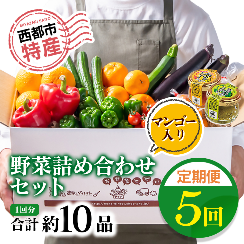 【先行予約】5ヶ月定期便 西都市旬の特産詰め合わせセット 野菜・マンゴー・スイートコーン等  2027年2月発送開始＜32-5a＞