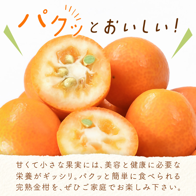 2027年発送 宮崎県西都市産 完熟金柑 きんかん1kg（3L～L）西都市特産品 先行予約＜18-7a＞