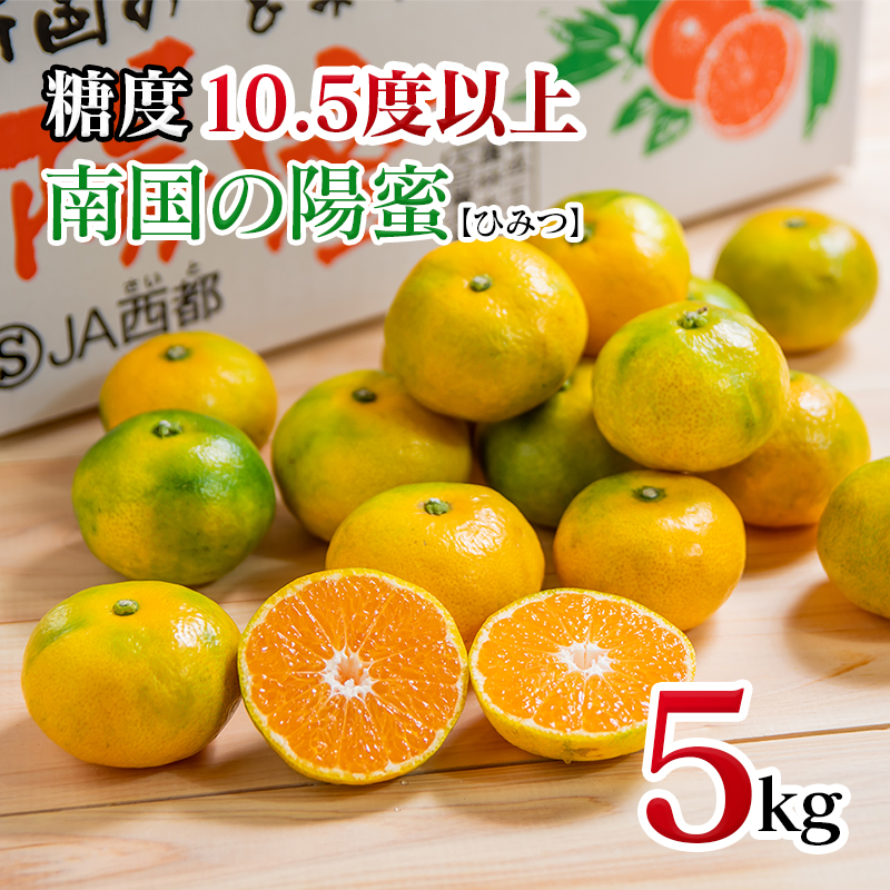 極早生みかん5kg「南国の陽蜜」宮崎県西都産 ミカン 蜜柑【先行予約】＜2-5a＞