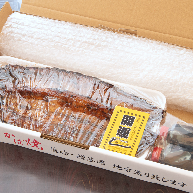 藤うなぎ かば焼き2尾 国産うなぎ＜15-1a＞