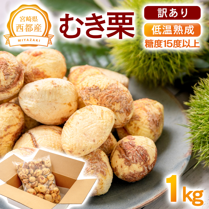 【訳あり】低温熟成栗 1kg 国産むき栗 糖度2～3倍上昇  西都市産くり【先行予約】＜49-4a＞