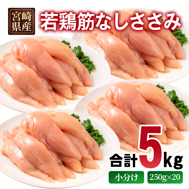 宮崎県産若鶏 筋なしささみ 5kg 小分け 250ｇ×20パック 鶏肉 ササミ 真空パック＜70-16a＞