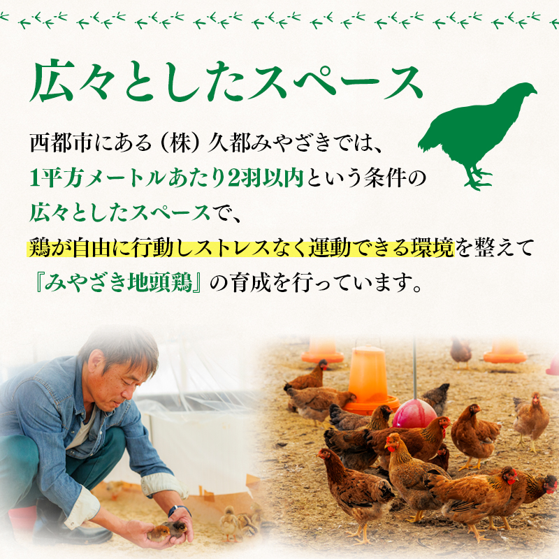 宮崎ブランド 地頭鶏「じとっこ」みやざき地頭鶏 地鶏鍋セット 鶏肉 【先行予約】＜21-1a＞