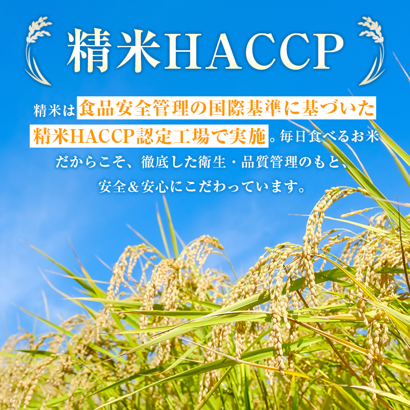 【3ヶ月定期便】無洗米コシヒカリ 5kg×3ヶ月 合計15kg＜18-56a＞