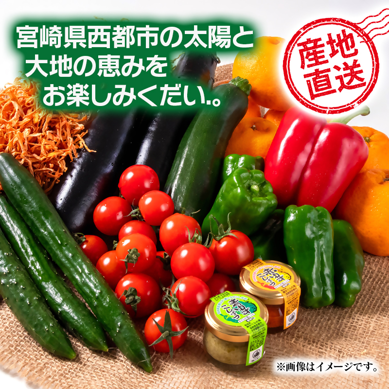 【先行予約】5ヶ月定期便 西都市旬の特産詰め合わせセット 野菜・マンゴー・スイートコーン等  2027年2月発送開始＜32-5a＞