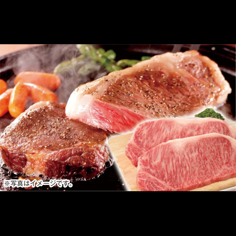 【厳選の西都市産 宮崎牛】サーロインステーキ500g（250g×2枚）牛肉 ステーキ 4等級以上 内閣総理大臣賞4連覇 ＜3-5a＞