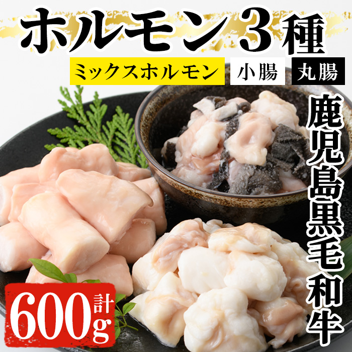 ＜2026年お中元ギフト＞黒毛和牛ホルモン3種盛り合わせ(計600g・200g×3種) 鹿児島県産 牛 牛肉 小腸 丸腸 ミックスホルモン 内臓 ホルモン 肉 焼肉 バーベキュー もつ鍋 ホルモン炒め 冷凍【バクロ】【00-030-05-R8OC】