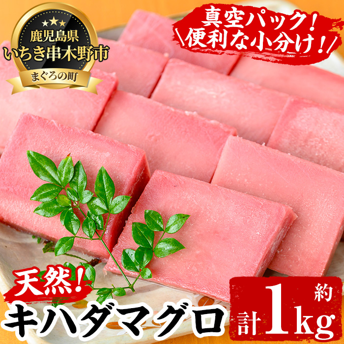 天然キハダマグロ(約1kg) 柵でお届け！肉厚のお刺身や海鮮丼に！まぐろ 鮪 魚介 刺し身 【海鮮まぐろ家】【00-041-01】