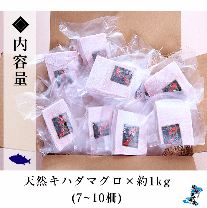 天然キハダマグロ(約1kg) 柵でお届け！肉厚のお刺身や海鮮丼に！まぐろ 鮪 魚介 刺し身 【海鮮まぐろ家】【00-041-01】