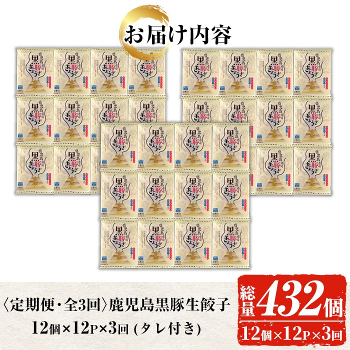 ＜定期便・全3回(毎月)＞鹿児島黒豚の生餃子(12個×12P×3回・総量432個) 黒豚 国産 野菜 おかず おつまみ ぎょうざ ギョウザ 惣菜 冷凍 おかず 弁当 小分け 冷凍【鹿児島協同食品】【00-008-19-TK】
