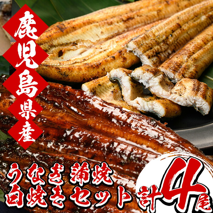 国産うなぎ(鹿児島県産うなぎ)の蒲焼・白焼き各2尾(合計4尾・計約620g、タレ付) 食べ比べ 堪能 セット 国産 国産魚 九州産 鹿児島県産 魚 魚介 鰻 うなぎ ウナギ 蒲焼 蒲焼き 惣菜 冷凍【南竹鰻加工】【00-025-11】