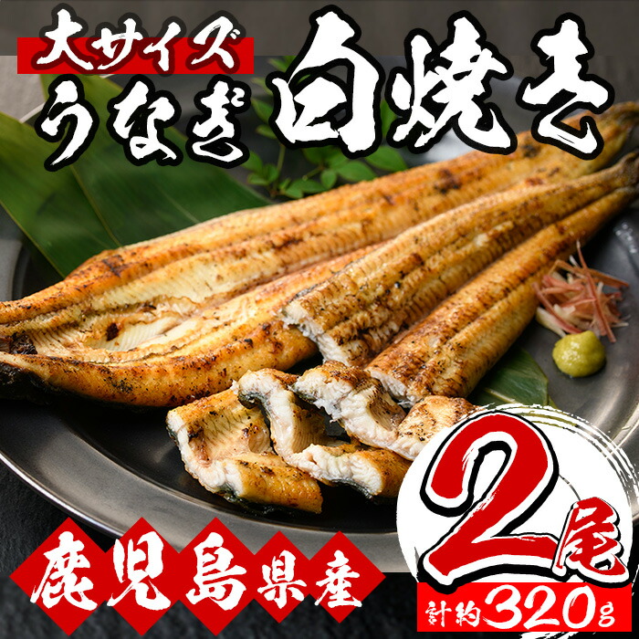 ＜数量限定＞国産うなぎ(鹿児島県産うなぎ)白焼き(大サイズ2尾・約320g) 国産 国産魚 九州産 鹿児島県産 魚 魚介 鰻 うなぎ ウナギ 白焼き 惣菜 冷凍【南竹鰻加工】【00-025-15】
