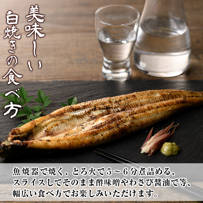 ＜数量限定＞国産うなぎ(鹿児島県産うなぎ)白焼き(大サイズ2尾・約320g) 国産 国産魚 九州産 鹿児島県産 魚 魚介 鰻 うなぎ ウナギ 白焼き 惣菜 冷凍【南竹鰻加工】【00-025-15】