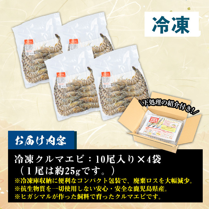 冷凍クルマエビ計1kg(25g×10尾×4袋) 国産 九州産 鹿児島 特産品 特産 車海老 くるまえび 活き車えび 車えび 海鮮 魚介 鍋 お鍋 塩焼き 串焼き バーベキュー BBQ エビフライ 天ぷら 刺身 お刺身 冷凍【ヒガシマル】【00-118-02】