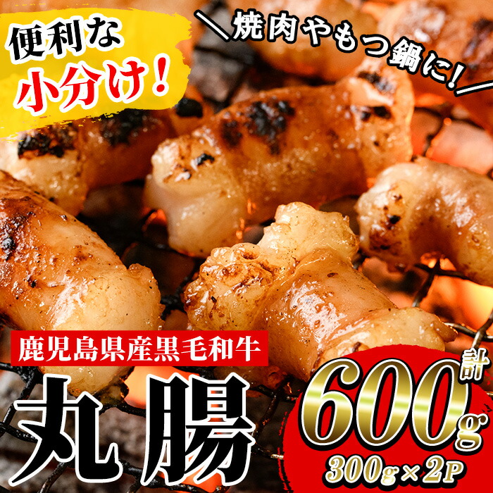 ≪小分けタイプ≫鹿児島県産黒毛和牛 丸腸 (計600g・300g×2P) 冷凍 まるちょう ホルモン もつ鍋 焼肉 牛肉 肉 もつ モツ 内臓 国産牛 黒毛和牛 モツ鍋 もつなべ 九州 国産 小分け こわけ 便利 ギフト【バクロ】【00-030-26】
