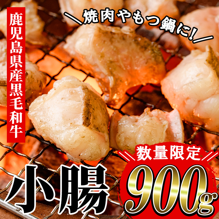 ≪数量限定≫鹿児島県産黒毛和牛の小腸 ホルモン(計900g・700gパック＋200gパック) しょうちょう ホルモン もつ鍋 焼肉 鍋 焼肉用 焼き肉 バーベキュー 冷凍 牛肉 肉 もつ モツ 内臓 国産牛 モツ鍋 もつなべ 九州 国産 ギフト 黒毛和牛 【バクロ】【00-030-08-L】