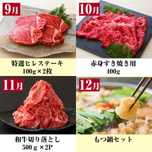 ＜定期便・全12回＞黒毛和牛づくし12ヶ月定期便！サーロインステーキやロース、切り落とし、ブロック、ハンバーグやもつ鍋など！牛肉を1年間定期便でお届け！【バクロ】【00-030-13-TK】