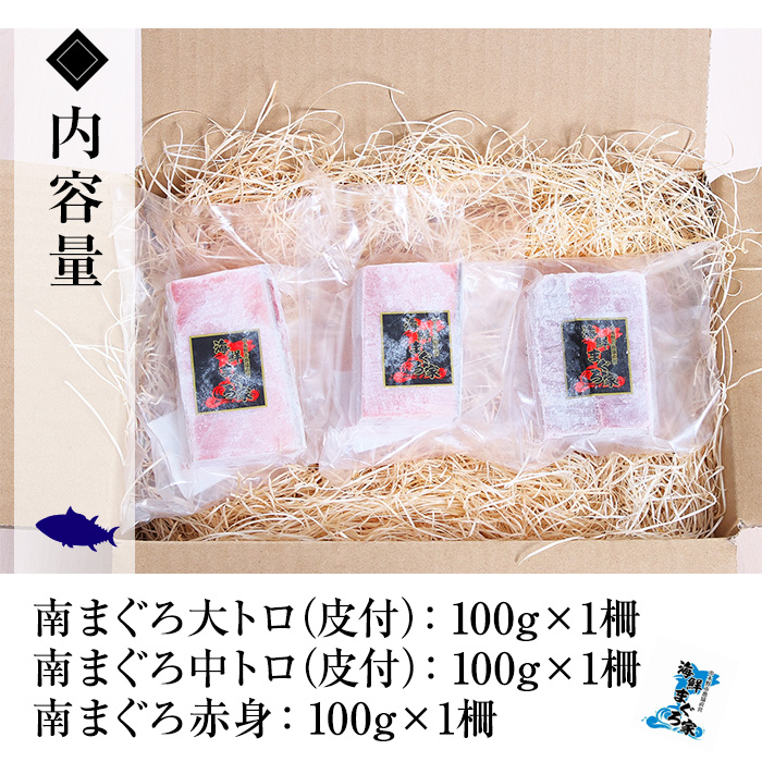 ＜2026年お中元ギフト＞《ちょこっとプレミアム》天然南まぐろフルセット(計300g) 100g柵でお届け！肉厚のお刺身や海鮮丼に！まぐろ 鮪 魚介 刺し身 刺身 さしみ 海鮮丼 南マグロ 小分け 便利 冷凍 新鮮【海鮮まぐろ家】【00-041-09-R8OC】