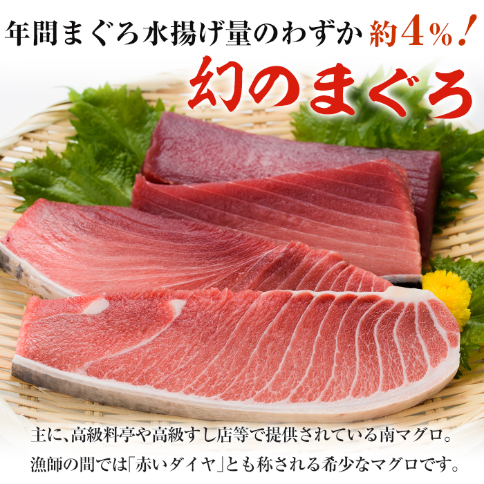 南マグロ味わいセット！中トロと赤身の鮪の刺身用柵(計約400g) まぐろ 鮪 南まぐろ 南マグロ 中とろ 魚介 刺し身 刺身 刺身用 さしみ サク 海鮮丼 小分け 便利 冷凍 希少 新鮮【新洋水産】【00-019-01】