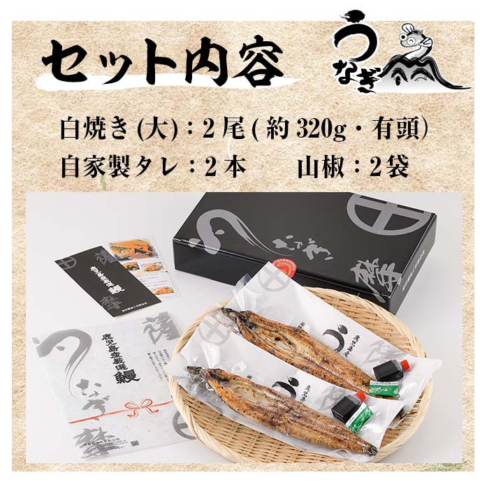 ＜数量限定＞国産うなぎ(鹿児島県産うなぎ)白焼き(大サイズ2尾・約320g) 国産 国産魚 九州産 鹿児島県産 魚 魚介 鰻 うなぎ ウナギ 白焼き 惣菜 冷凍【南竹鰻加工】【00-025-15】