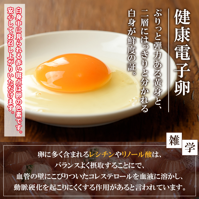 ＜2026年お中元ギフト＞鹿児島県産！健康電子卵(計80個・10個入り×8P) 国産 九州産 たまご タマゴ 玉子 生たまご 親鳥 親鶏 新鮮 鶏卵 小分け パック 朝ごはん おかず 割れ保障 安心 安全【峯元養鶏】【 00-095-01-R8OC】