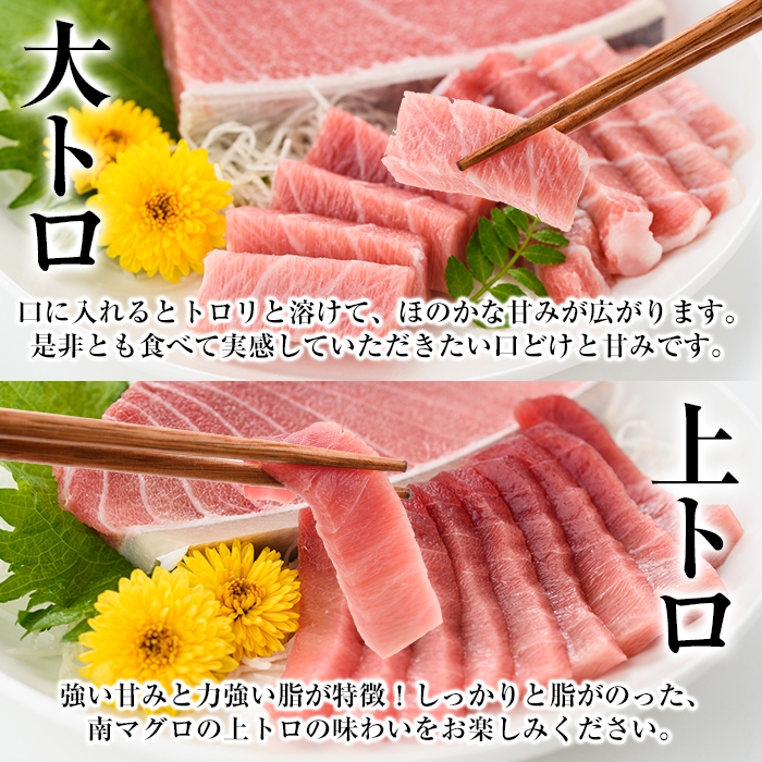 【定期便】南マグロ刺身用柵(8本セット×6ヶ月)！希少な南まぐろの大トロ・上トロ・中トロ・赤身を毎月お届け！総合計約10kg以上！まぐろ 鮪 南まぐろ 南マグロ 大とろ 中とろ 上とろ 魚介 刺し身 刺身 さしみ 海鮮丼 小分け 便利 冷凍 新鮮【新洋水産】【00-019-07-TK】