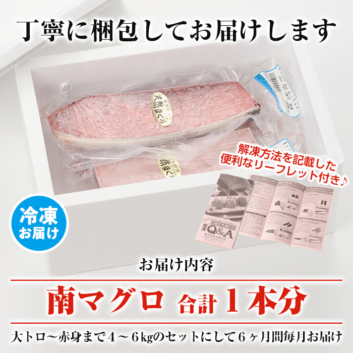 【定期便】南マグロ丸ごと1本(約4〜6kgセット×6ヶ月)！希少な南まぐろの刺身用柵(大トロ・上トロ・中トロ・赤身)を毎月お届け！まぐろ 鮪 南まぐろ 南マグロ 大とろ 中とろ 上とろ 魚介 刺し身 刺身 さしみ 海鮮丼 小分け 便利 冷凍 希少 新鮮【新洋水産】【00-019-06-TK】