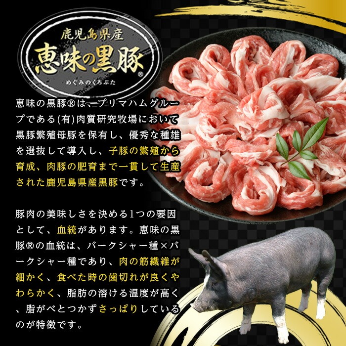 恵味の黒豚 BBQ・キャンプ用セット (鹿児島県産黒豚)(7種・合計2.5kg超) 豚 豚肉 肉 鹿児島 黒豚 肩ロース ロース ばら肉 バラ肉 スペアリブ 切り落とし 小間切れ バーベキュー 焼肉 キャンプ 詰合せ 詰め合わせ 小分け 冷凍【西日本ベストパッカー】【00-110-04】