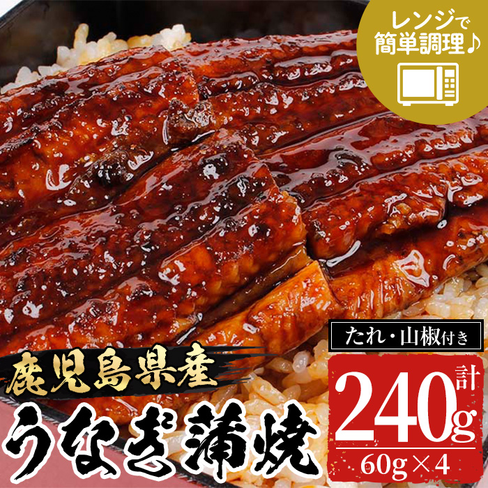 《レンジ対応》鹿児島県産うなぎ蒲焼(240g・60g×4/タレ・山椒付き) 国産 国産魚 九州産 鹿児島県産 魚 魚介 鰻 うなぎ ウナギ unagi 蒲焼 蒲焼き たれ たれ付 さんしょう 簡単調理【エーエフ企画】【01-057-48】