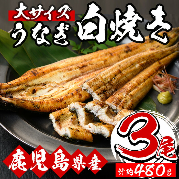 国産うなぎ(鹿児島県産うなぎ)白焼き(大サイズ3尾・計約480g・タレ付き) 国産 国産魚 九州産 鹿児島県産 魚 魚介 鰻 うなぎ ウナギ 白焼き 惣菜 冷凍【南竹鰻加工】【00-025-08】