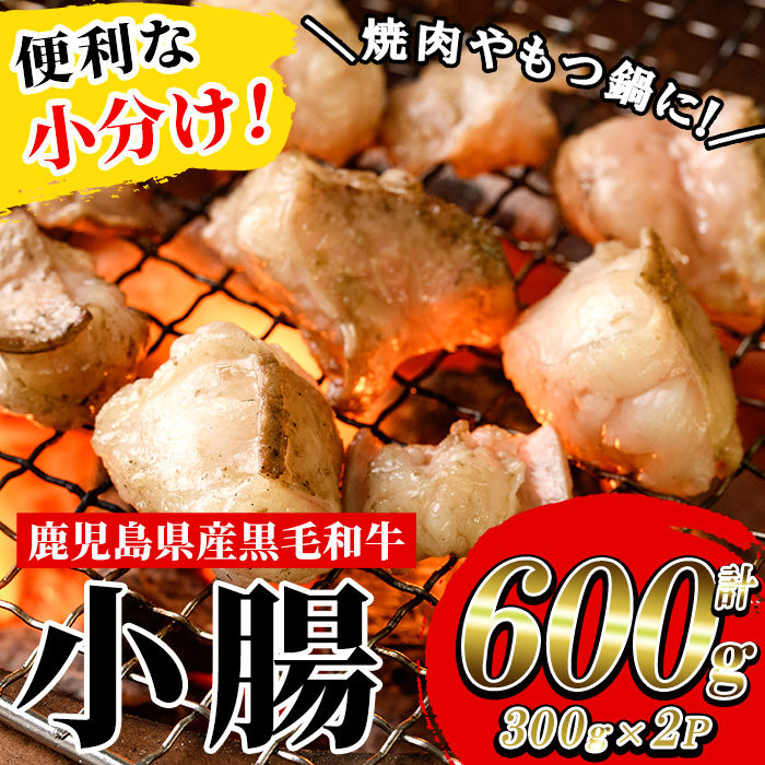 ＜2026年お中元ギフト＞鹿児島県産黒毛和牛 小腸(300g×2P・計600g) しょうちょう ホルモン もつ鍋 焼肉 鍋 焼肉用 焼き肉 バーベキュー 冷凍 牛肉 肉 もつ モツ 内臓 国産牛 モツ鍋 もつなべ 小分け 九州 国産 贈答品 ギフト【バクロ】【00-030-27-R8OC】