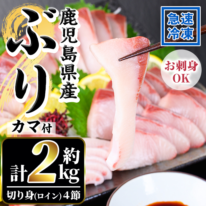 鹿児島県産！冷凍ぶり(ロイン4節入・計2kg前後/カマ付)国産 九州産 鹿児島産 魚介 魚 旬 ハマチ はまち 養殖 ブリ 鰤 刺身 お刺身 海鮮丼 漬け丼 ブリ大根  ぶりしゃぶ しゃぶしゃぶ 鍋 お鍋 カマ ブリカマ ロイン 切り身 切身 冷凍【全栄フーズ】【00-117-02】