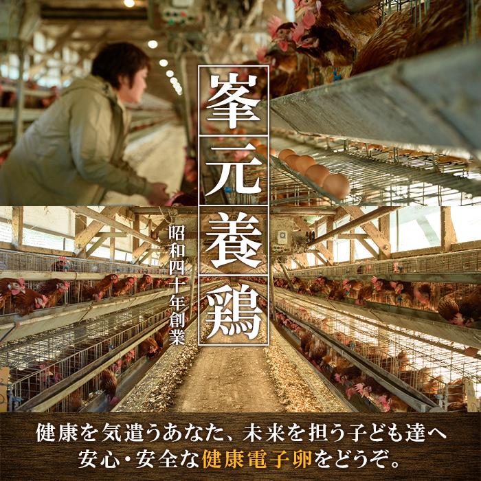 《数量限定》鹿児島県産！健康電子卵(計120個・10個入り×12P) 国産 九州産 たまご タマゴ 玉子 生たまご 親鳥 親鶏 新鮮 鶏卵 卵黄 常温 小分け パック 朝ごはん 卵かけごはん TKG おかず 卵焼き 体質改善 割れ保障 安心 安全【峯元養鶏】【00-095-04】