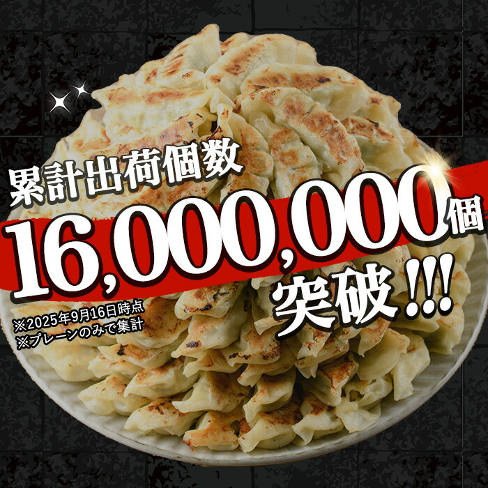 ＜総寄附件数11万件超！＞鹿児島黒豚の生餃子(12個×12P・計144個) 黒豚 国産 野菜 おかず おつまみ ぎょうざ ギョウザ 惣菜 冷凍 おかず 弁当 小分け 【鹿児島協同食品】【00-008-14】