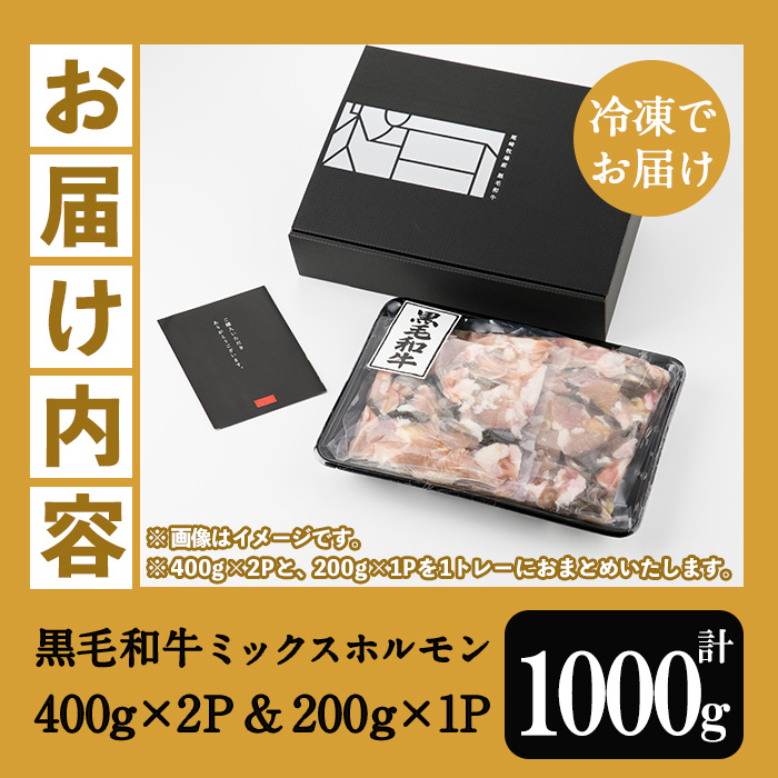≪数量限定≫黒毛和牛ミックスホルモン(計1000g・400g×2P＆200g×1P) 牛肉 焼き肉 ホルモン炒め モツ もつ 内臓 国産 九州 肉 和牛 牛 贈答品 ギフト【バクロ】【00-030-04-L】