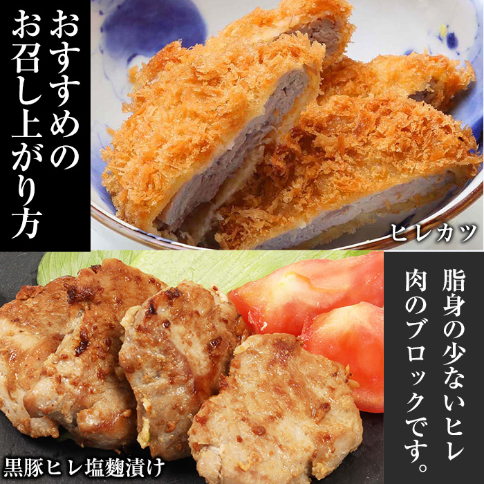 鹿児島県産黒豚ヒレブロック(計約1kg・約500g×2本)！国産 豚 豚肉 肉 食品 肉類 冷凍 ヒレ肉 ブロック 九州 ヒレカツ ステーキ ローストポーク【エーエフ企画】【00-057-14】