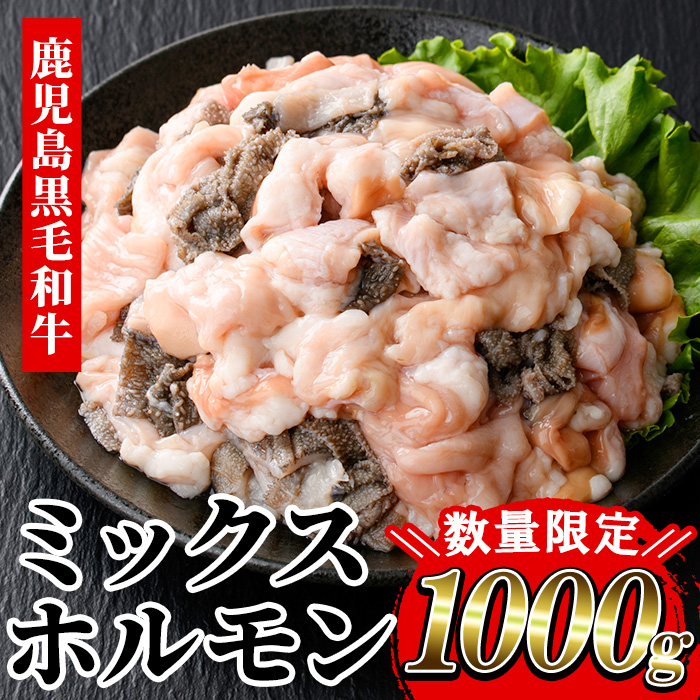 ≪数量限定≫黒毛和牛ミックスホルモン(計1000g・400g×2P＆200g×1P) 牛肉 焼き肉 ホルモン炒め モツ もつ 内臓 国産 九州 肉 和牛 牛 贈答品 ギフト【バクロ】【00-030-04-L】
