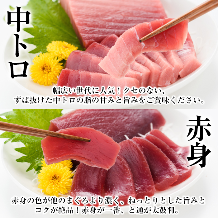 【定期便】南マグロ刺身用柵(8本セット×6ヶ月)！希少な南まぐろの大トロ・上トロ・中トロ・赤身を毎月お届け！総合計約10kg以上！まぐろ 鮪 南まぐろ 南マグロ 大とろ 中とろ 上とろ 魚介 刺し身 刺身 さしみ 海鮮丼 小分け 便利 冷凍 新鮮【新洋水産】【00-019-07-TK】