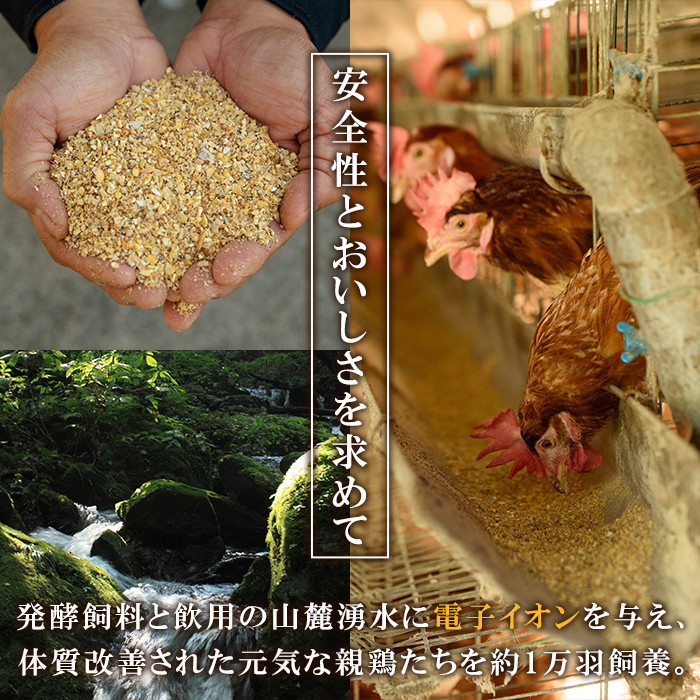《定期便・全6回》鹿児島県産！健康電子卵(計360個・10個入り×6P×6回) 国産 九州産 たまご タマゴ 玉子 生たまご 親鳥 親鶏 新鮮 鶏卵 常温 毎月 連続 小分け パック 朝ごはん おかず 割れ保障 安心 安全【峯元養鶏】【00-095-05-TK】
