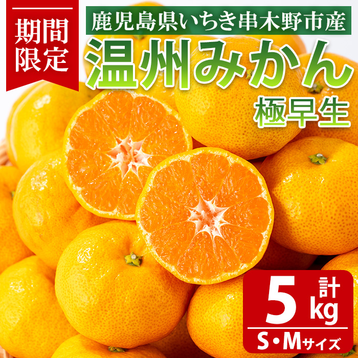 《期間限定・数量限定》木之下みかん園の温州みかん(極早生みかん)(約5kg) 国産 鹿児島県産 果物 柑橘 果物 フルーツ 温州みかん みかん ミカン 旬 冬季 常温 常温配送 箱 【木之下みかん園】【01-132-01】